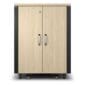 APC AR4017IA rack cabinet 17U Freestanding rack Maple colour, Black