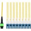 AddOn Networks 0.5m, MPO/APC to 8xLC/UPC, Yellow, OS2, OFNR (Riser-Rated), 16-Strand SMF Fiber Patch Cable