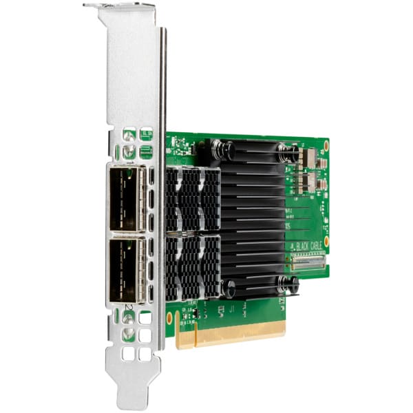 HPE P23666-B21 Internal Ethernet / Fiber 100000 Mbit/s