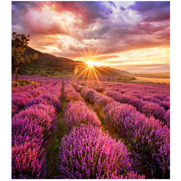 Samsung IF015E Transparent (mesh) LED Indoor